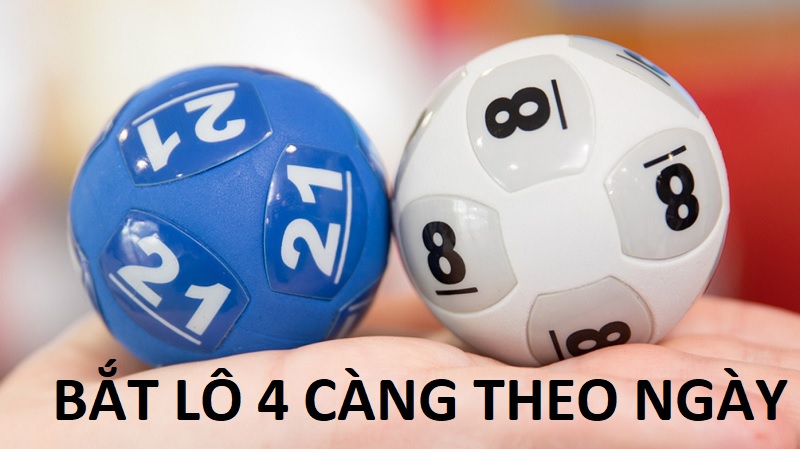 4 càng ăn bao nhiêu?
